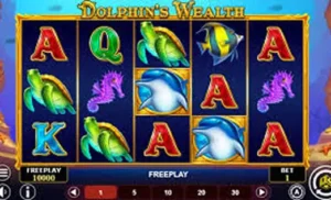 Dolphin's Wealth