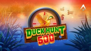 Duck Hunt 500