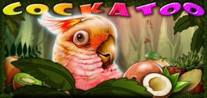 Cockatoo