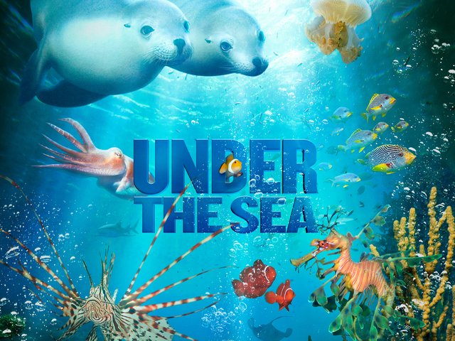 Play Under the Sea 1x2