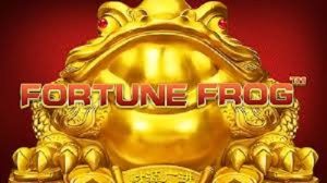 Fortune Frog