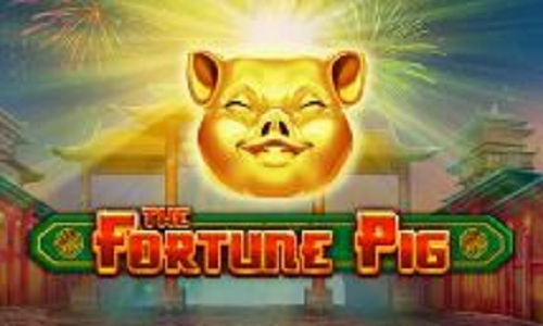 Play Fortune pig