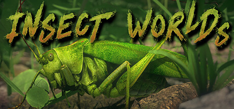 Play Insect World