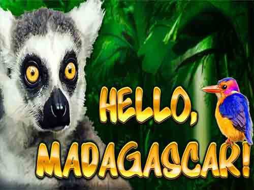 Play Hello, Madagascar