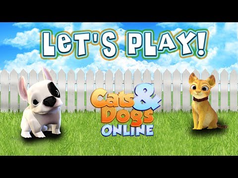 Play Cats 'n' Dogs