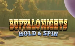 Buffalo Nights Hold & Spin