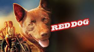 Play Red Dog