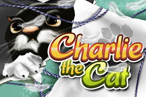 Play Charlie the Cat