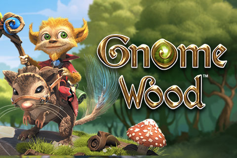Play Gnome Woods