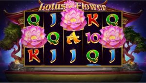 Lotus Beauty