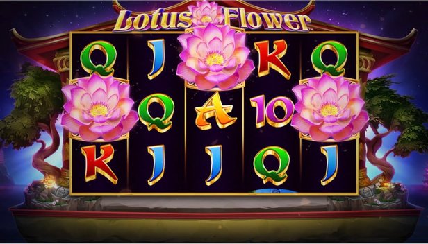 Play Lotus Beauty
