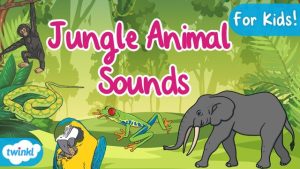 Sounds of Jungle