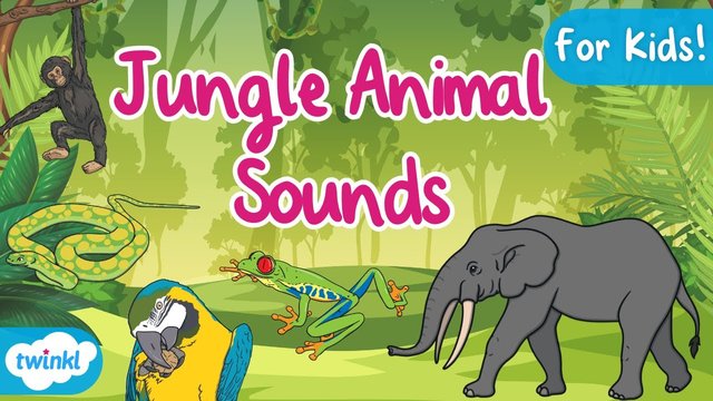 Play Sounds of Jungle