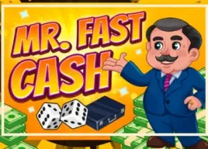Mr Fast Cash