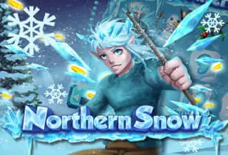 Play Northern Snow