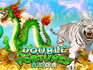 Double Fortune