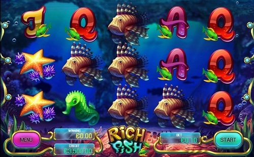 Play Rich Fish