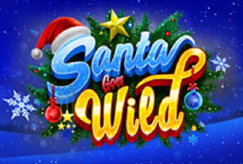Play Santa Goes Wild