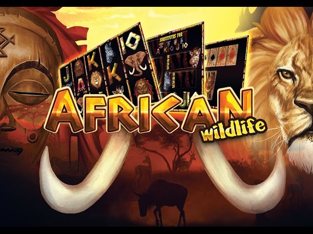 Play African Wildlife
