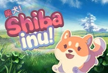 Play Shiba Inu