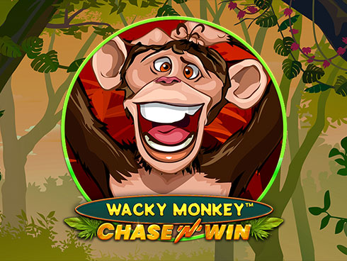 Play Wacky Monkey