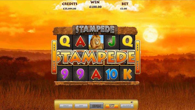 Play Stampede Jackpot