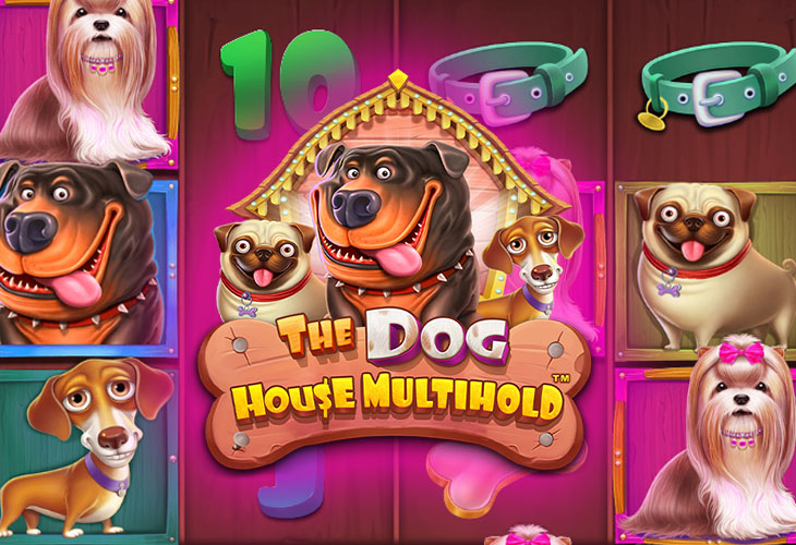 Play The Dog House Multihold