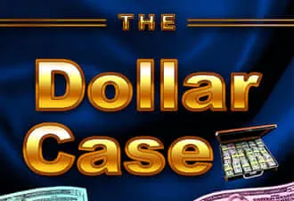 Play The Dollar Case