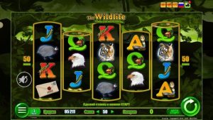 the Wildlife