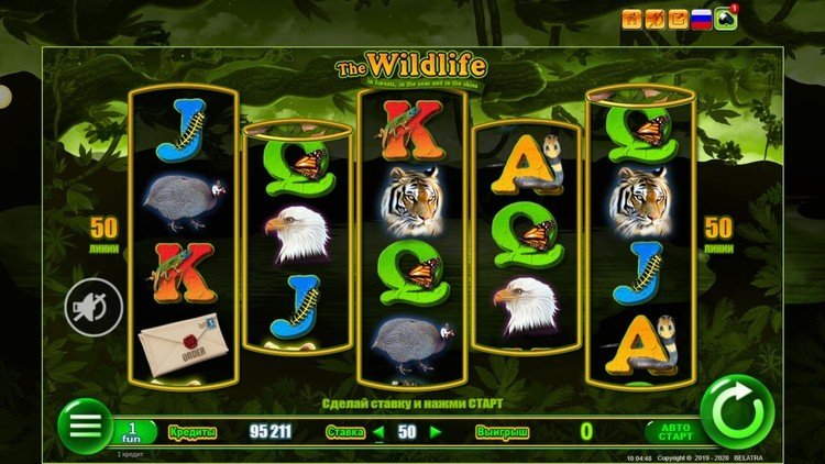 Play the Wildlife