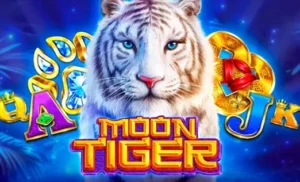 Tiger Moon