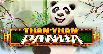 Play Tuan Yuan Panda
