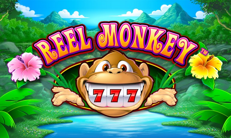 Play Monkey's Millions
