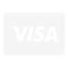 Visa Payment icon