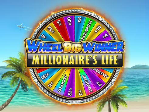 Play Millionaire's Life