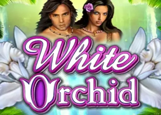 White Orchid Demo