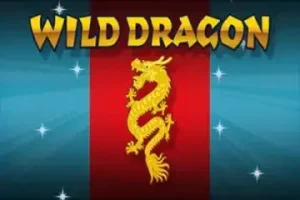 Wild Dragon