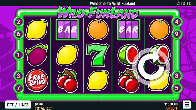 Play Wild Funland