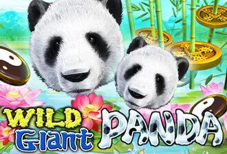 Play Wild Giant Panda