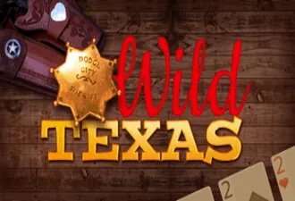 Play Wild Texas