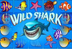 Wild Shark Slot